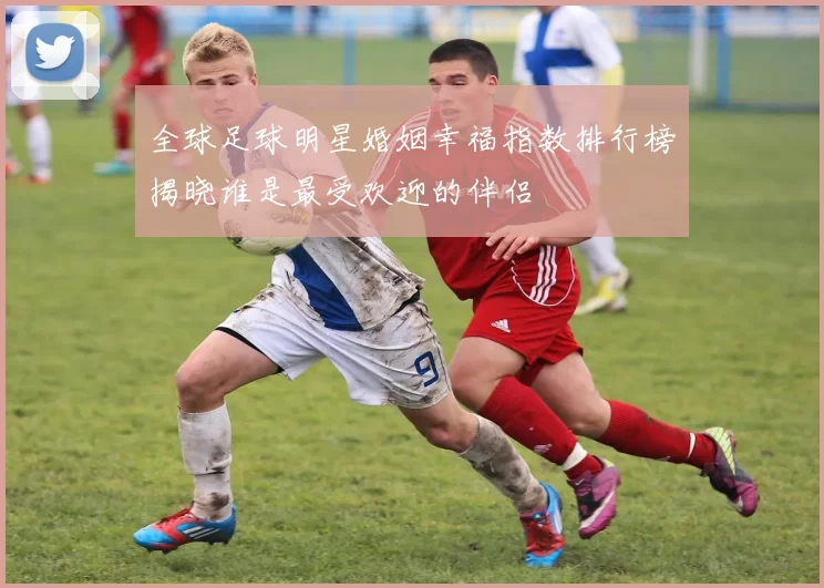 全球足球明星婚姻幸福指数排行榜揭晓谁是最受欢迎的伴侣