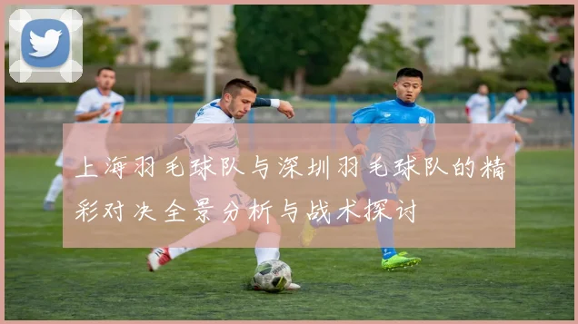 上海羽毛球队与深圳羽毛球队的精彩对决全景分析与战术探讨