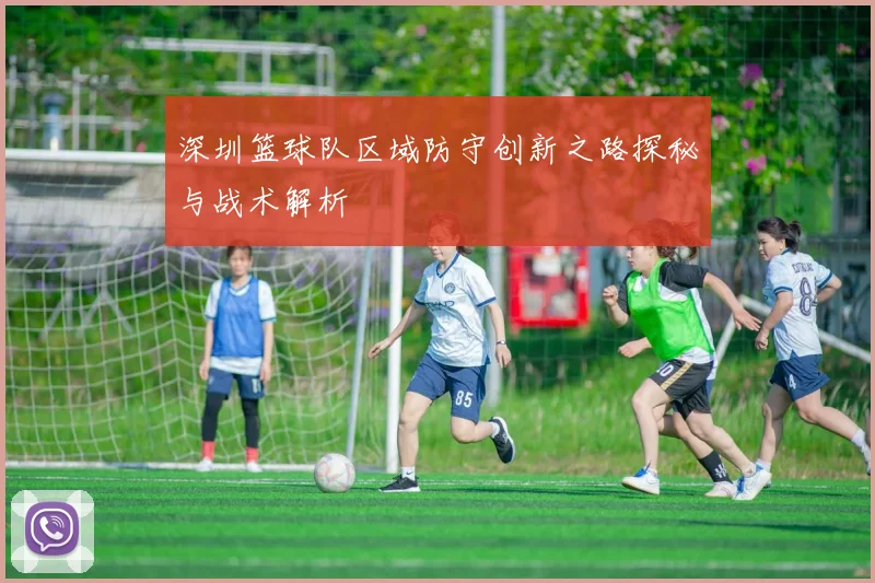深圳篮球队区域防守创新之路探秘与战术解析