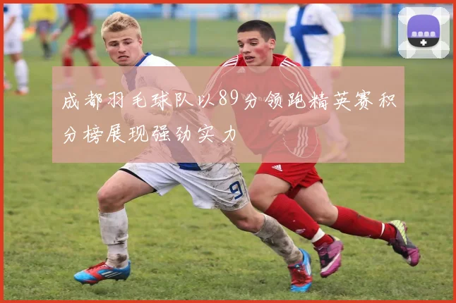 成都羽毛球队以89分领跑精英赛积分榜展现强劲实力