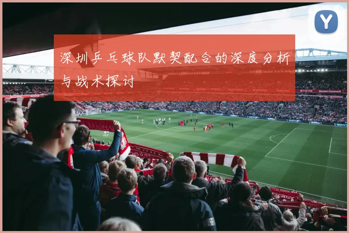 深圳乒乓球队默契配合的深度分析与战术探讨