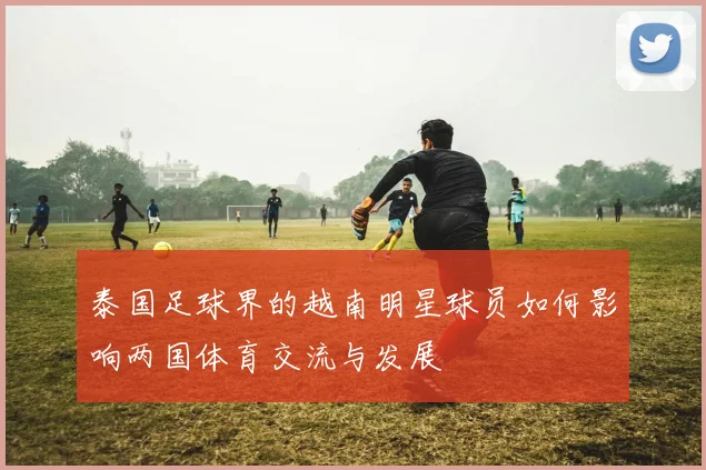 泰国足球界的越南明星球员如何影响两国体育交流与发展