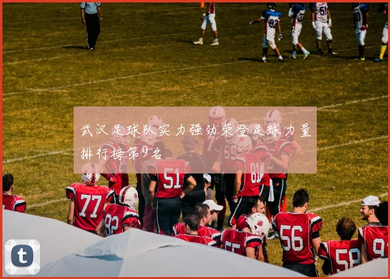 武汉足球队实力强劲荣登足球力量排行榜第9名