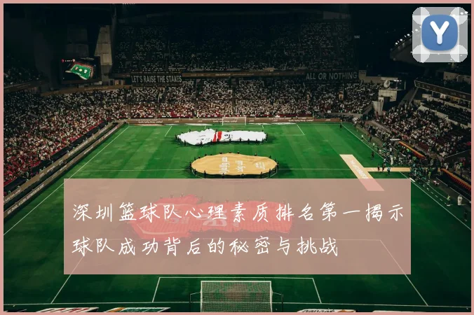 深圳篮球队心理素质排名第一揭示球队成功背后的秘密与挑战