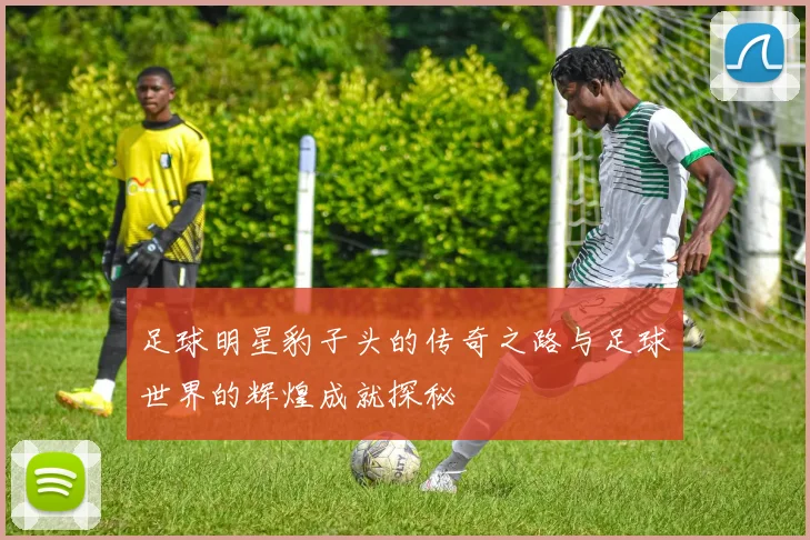 足球明星豹子头的传奇之路与足球世界的辉煌成就探秘