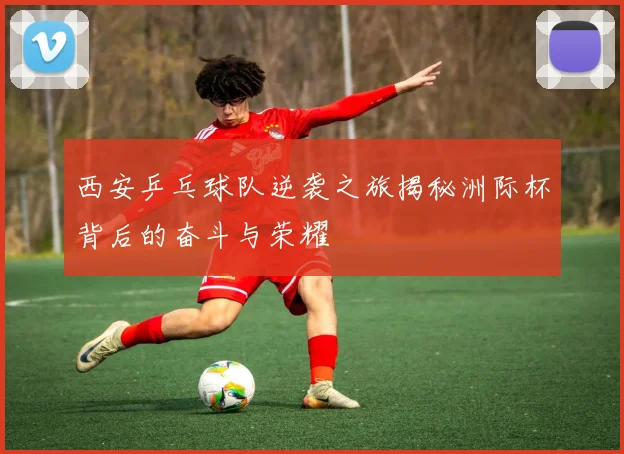 西安乒乓球队逆袭之旅揭秘洲际杯背后的奋斗与荣耀