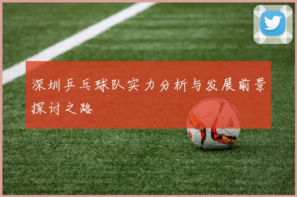 深圳乒乓球队实力分析与发展前景探讨之路