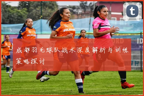 成都羽毛球队战术深度解析与训练策略探讨