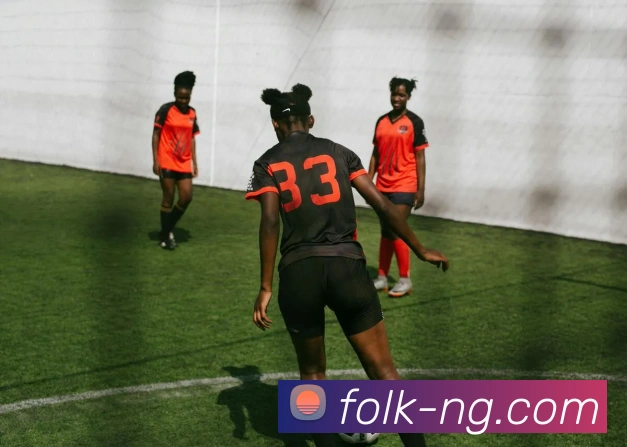 NG体育平台生态图